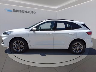 FORD Kuga 1.5 ecoblue st-line x 2wd 120cv auto
