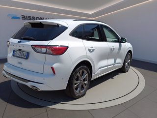 FORD Kuga 1.5 ecoblue st-line x 2wd 120cv auto