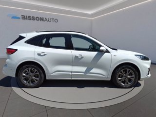 FORD Kuga 1.5 ecoblue st-line x 2wd 120cv auto