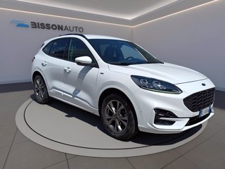 FORD Kuga 1.5 ecoblue st-line x 2wd 120cv auto