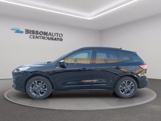 FORD Kuga 2.5 full hybrid st-line 2wd 190cv cvt