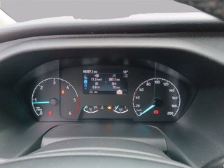 FORD Tourneo custom 320 2.0 tdci mhev 185cv titanium l1h1 e6.2