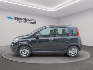 FIAT Panda 1.0 firefly hybrid s&s 70cv