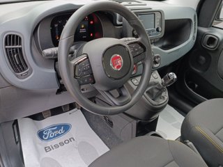 FIAT Panda 1.0 firefly hybrid s&s 70cv
