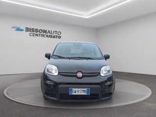 FIAT Panda 1.0 firefly hybrid s&s 70cv