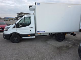 FORD Transit 350 2.0 tdci HDT 155cv trend L2 Lamberet