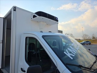 FORD Transit 350 2.0 tdci HDT 155cv trend L2 Lamberet