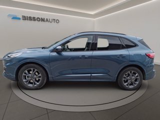 FORD Kuga 2.5 full hybrid st-line 2wd 190cv cvt