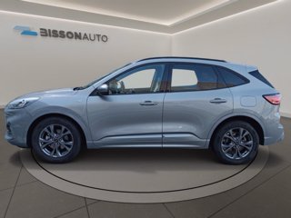 FORD Kuga 1.5 ecoblue ST-Line 2wd 120cv