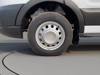 FORD Transit 350 tr.post. 2.0 tdci 130cv trend L3 Scattolini cassone fisso r.gem.