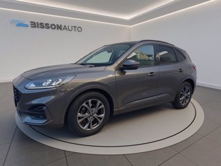 FORD Kuga 1.5 ecoblue st-line 2wd 120cv