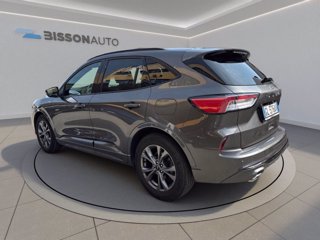 FORD Kuga 1.5 ecoblue st-line 2wd 120cv