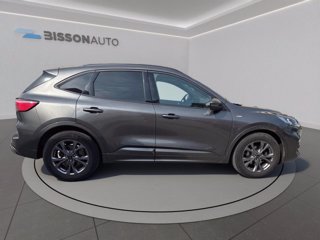 FORD Kuga 1.5 ecoblue st-line 2wd 120cv