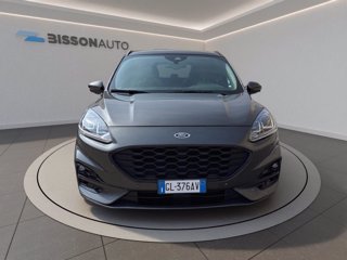 FORD Kuga 1.5 ecoblue st-line 2wd 120cv