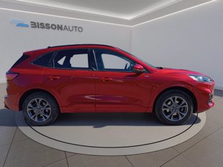 FORD Kuga 2.0 ecoblue st-line awd 120cv auto