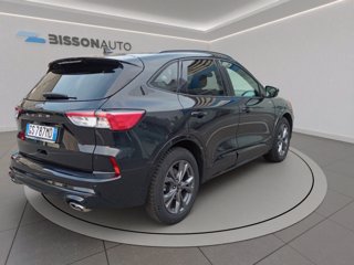 FORD Kuga 2.0 ecoblue st-line x 2wd 120cv auto