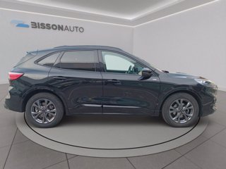 FORD Kuga 2.0 ecoblue st-line x 2wd 120cv auto