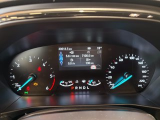 FORD Focus 1.5 ecoblue st-line 115cv auto