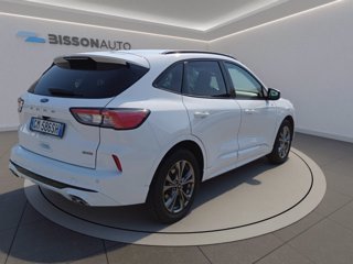 FORD Kuga 2.5 full hybrid st-line 2wd 190cv cvt