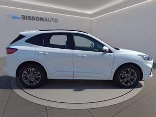 FORD Kuga 2.5 full hybrid st-line 2wd 190cv cvt