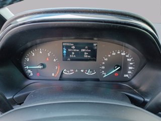 FORD Fiesta active 1.0 ecoboost h 125cv