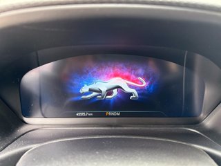 FORD Puma 1.0 ecoboost h st-line vignale s&s 155cv auto