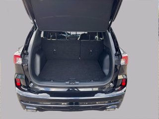 FORD Kuga 2.5 full hybrid st-line 2wd 190cv cvt