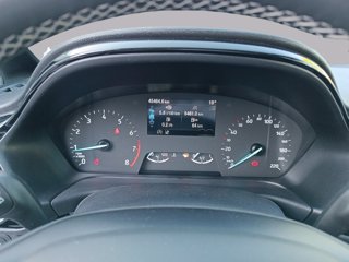 FORD Fiesta 5p 1.0 ecoboost h titanium 125cv