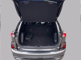 FORD Kuga 2.5 full hybrid st-line 2wd 190cv cvt