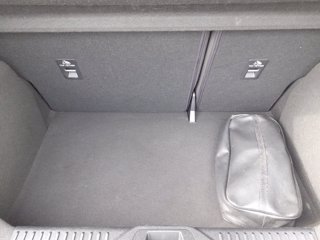 FORD Fiesta active 1.0 ecoboost h 125cv