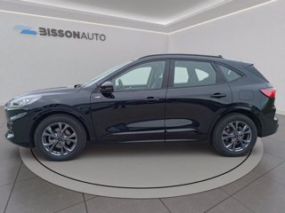 FORD Kuga 2.5 full hybrid st-line 2wd 190cv cvt