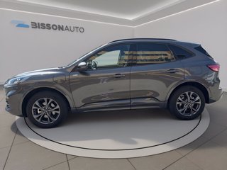 FORD Kuga 2.5 phev st-line 2wd 225cv cvt