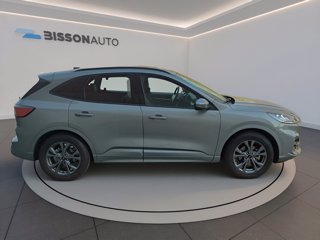 FORD Kuga 2.5 full hybrid st-line x 2wd 190cv cvt