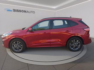 FORD Kuga 2.5 full hybrid st-line x 2wd 190cv cvt