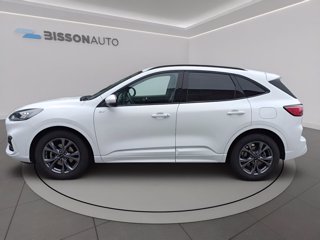 FORD Kuga 2.0 ecoblue st-line 2wd 120cv auto
