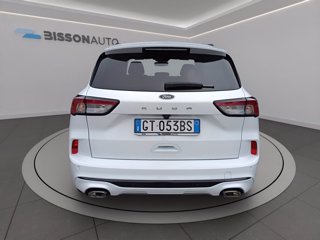 FORD Kuga 2.0 ecoblue st-line 2wd 120cv auto