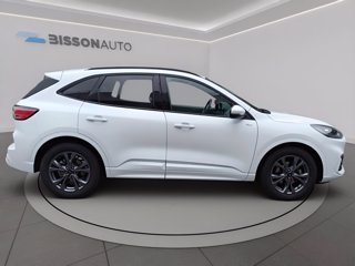 FORD Kuga 2.0 ecoblue st-line 2wd 120cv auto