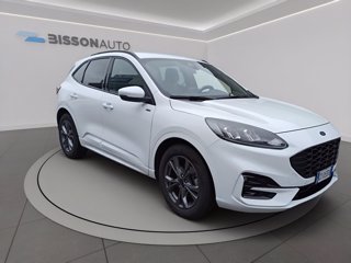 FORD Kuga 2.0 ecoblue st-line 2wd 120cv auto