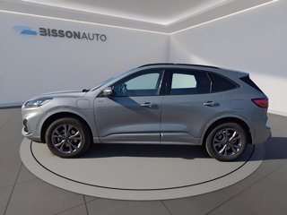 FORD Kuga 2.5 phev st-line 2wd 225cv cvt