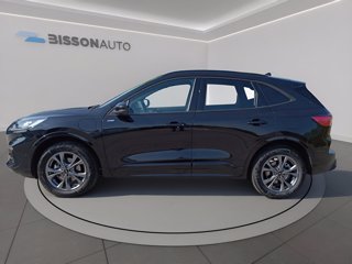 FORD Kuga 2.5 phev st-line 2wd 225cv cvt
