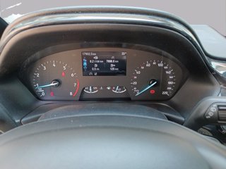 FORD Fiesta active 1.0 ecoboost h 125cv