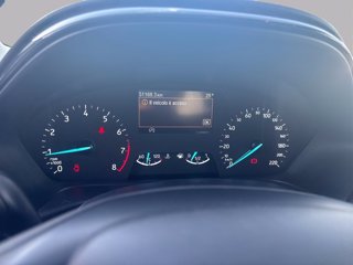 FORD Fiesta active 1.0 ecoboost h 125cv