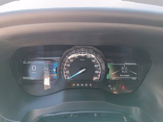 FORD Ranger 2.0 ecoblue double cab wildtrak 213cv auto