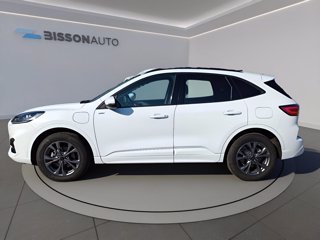 FORD Kuga 2.5 phev st-line 2wd 225cv cvt