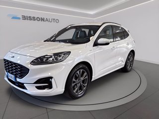 FORD Kuga 1.5 ecoblue st-line x 2wd 120cv auto