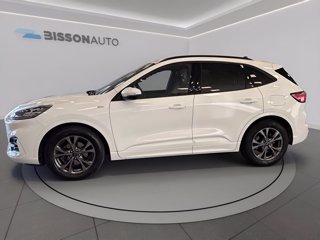FORD Kuga 1.5 ecoblue st-line x 2wd 120cv auto