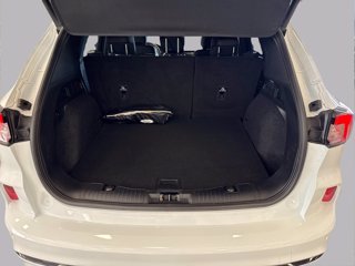 FORD Kuga 1.5 ecoblue st-line x 2wd 120cv auto