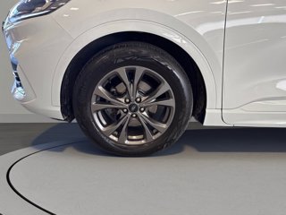 FORD Kuga 1.5 ecoblue st-line x 2wd 120cv auto