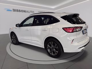 FORD Kuga 1.5 ecoblue st-line x 2wd 120cv auto