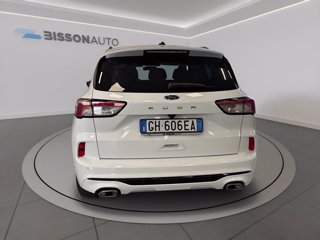 FORD Kuga 1.5 ecoblue st-line x 2wd 120cv auto
